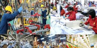 Phê duyệt chương trình hỗ trợ kinh doanh bền vững giai đoạn 2026-2030